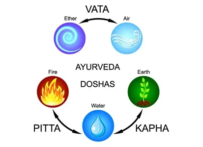 Ayurveda doshas: vata, pitta, kapha