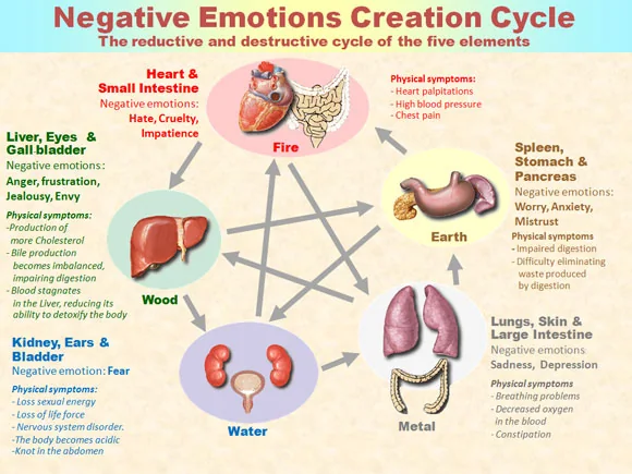 the five elements and the cycle of negative emotions
