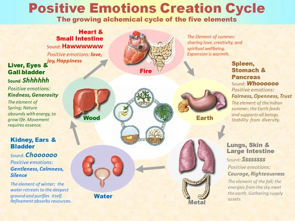 the five elements and the creation cycle of positive emotions